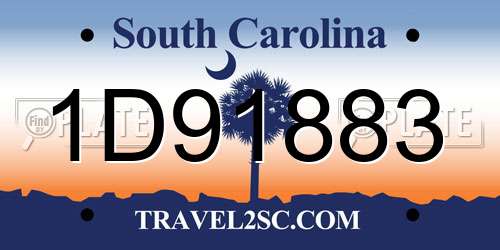 1D91883 South Carolina License Plate