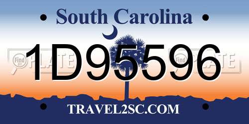 1D95596 South Carolina License Plate