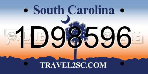 1D98596 South Carolina License Plate