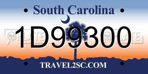 1D99300 South Carolina License Plate