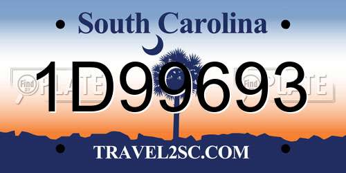 1D99693 South Carolina License Plate