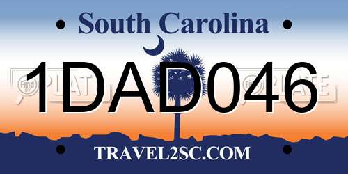1DAD046 South Carolina License Plate