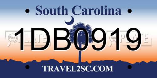 1DB0919 South Carolina License Plate