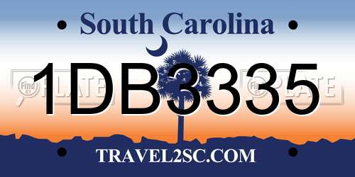 1DB3335 South Carolina License Plate