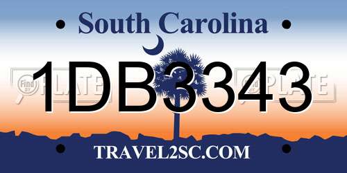 1DB3343 South Carolina License Plate