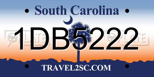 1DB5222 South Carolina License Plate