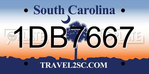 1DB7667 South Carolina License Plate