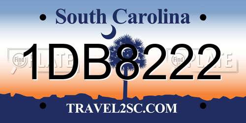 1DB8222 South Carolina License Plate