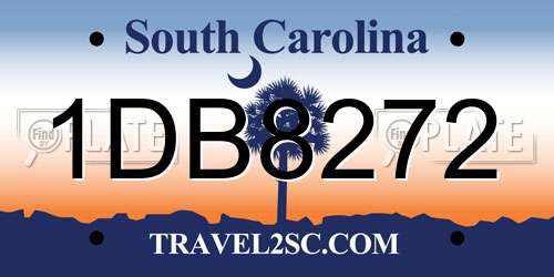 1DB8272 South Carolina License Plate
