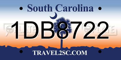 1DB8722 South Carolina License Plate