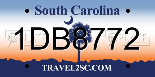 1DB8772 South Carolina License Plate