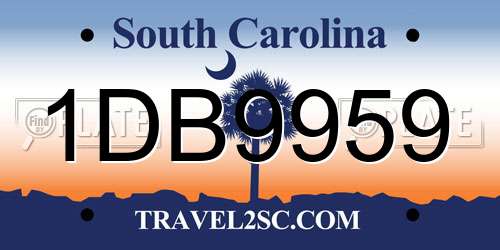 1DB9959 South Carolina License Plate