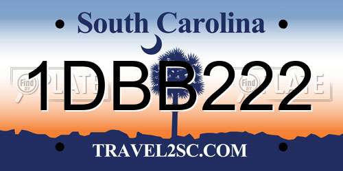 1DBB222 South Carolina License Plate