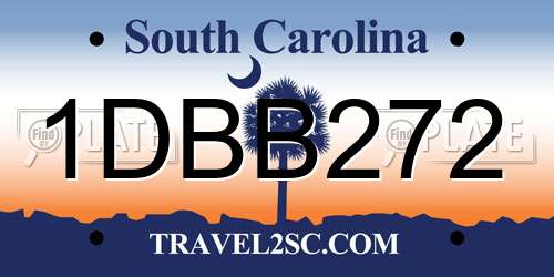 1DBB272 South Carolina License Plate