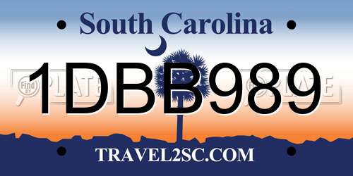 1DBB989 South Carolina License Plate