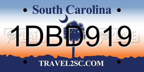 1DBD919 South Carolina License Plate