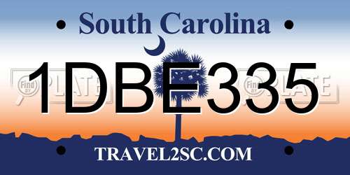 1DBE335 South Carolina License Plate