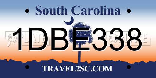 1DBE338 South Carolina License Plate