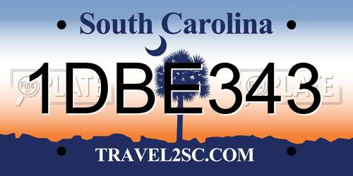 1DBE343 South Carolina License Plate