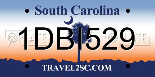 1DBI529 South Carolina License Plate