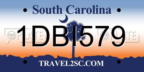 1DBI579 South Carolina License Plate