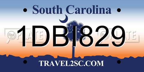 1DBI829 South Carolina License Plate