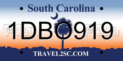 1DBO919 South Carolina License Plate