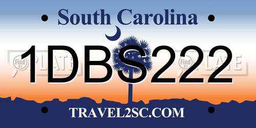 1DBS222 South Carolina License Plate