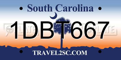 1DBT667 South Carolina License Plate