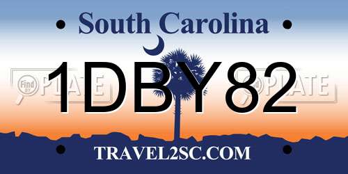 1DBY82 South Carolina License Plate