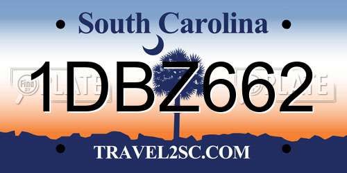 1DBZ662 South Carolina License Plate