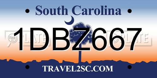 1DBZ667 South Carolina License Plate