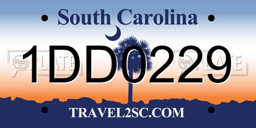 1DD0229 South Carolina License Plate