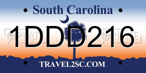 1DDD216 South Carolina License Plate
