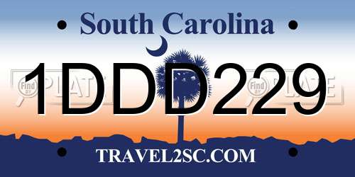 1DDD229 South Carolina License Plate
