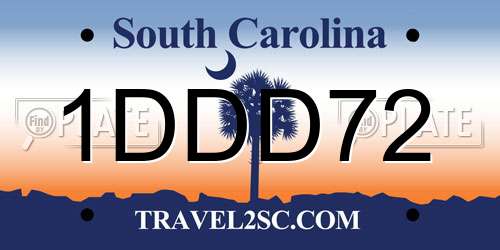 1DDD72 South Carolina License Plate