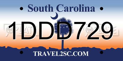 1DDD729 South Carolina License Plate