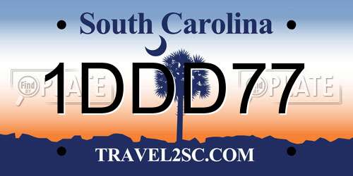 1DDD77 South Carolina License Plate
