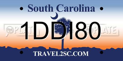 1DDI80 South Carolina License Plate