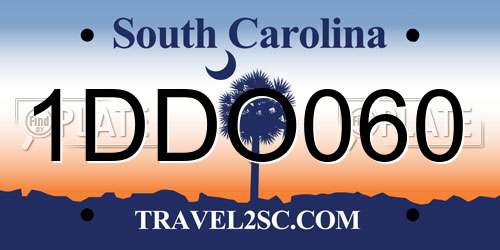 1DDO060 South Carolina License Plate