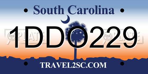 1DDO229 South Carolina License Plate
