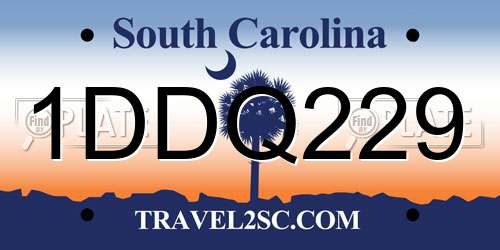 1DDQ229 South Carolina License Plate
