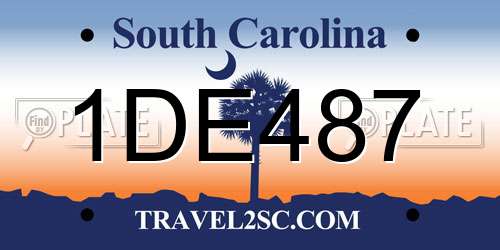 1DE487 South Carolina License Plate