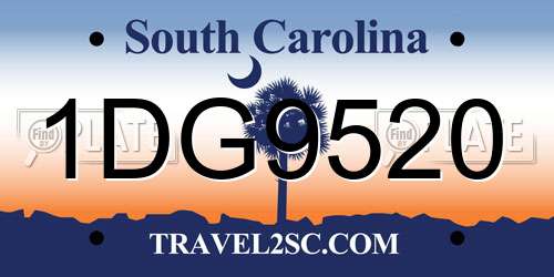 1DG9520 South Carolina License Plate