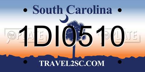 1DI0510 South Carolina License Plate