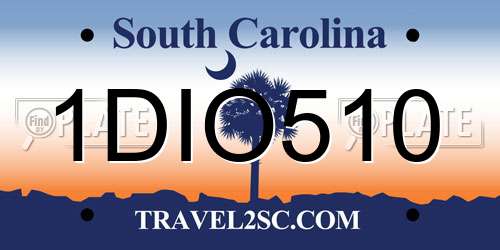 1DIO510 South Carolina License Plate