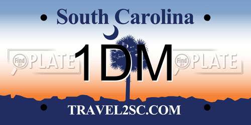 1DM South Carolina License Plate