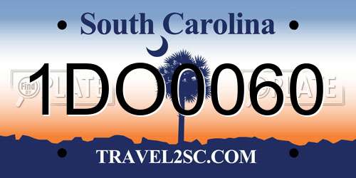 1DO0060 South Carolina License Plate