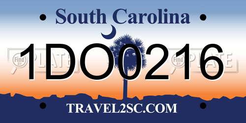 1DO0216 South Carolina License Plate