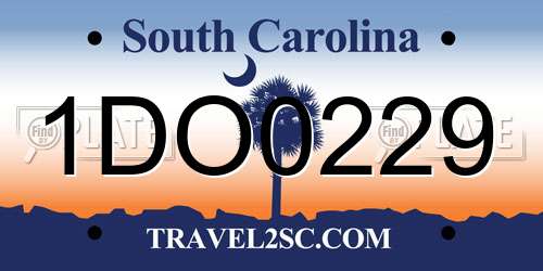 1DO0229 South Carolina License Plate